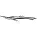 Dart_101